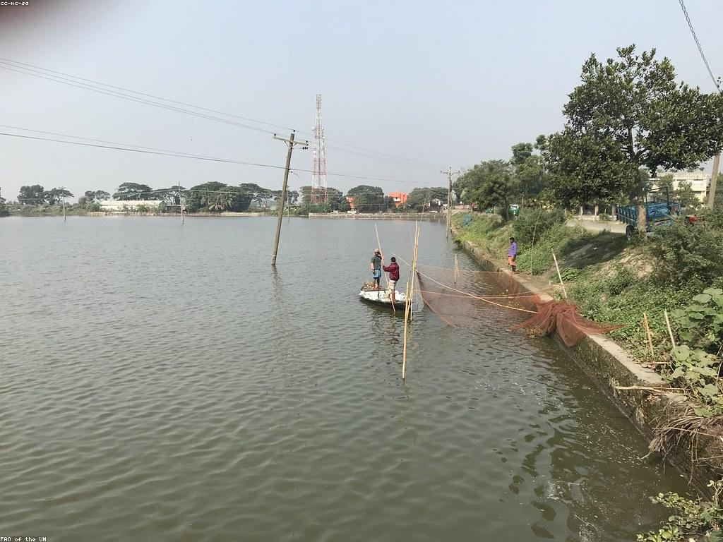 គន្លឹះបាញ់ត្រីក្នុងរដូវកាលផ្សេងៗ