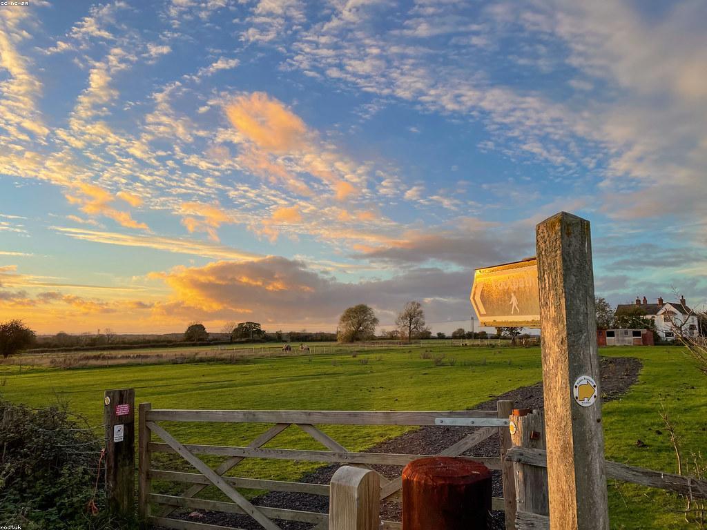 អាកាសធាតុ និងទីតាំង៖ ការតាំងនៅលើបណ្តាញ