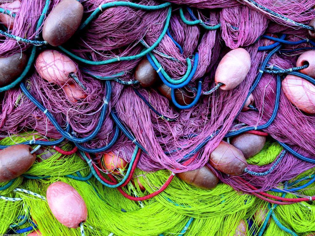 គន្លឹះបាញ់ត្រី: បច្ចេកទេស និងឧបករណ៍សំខាន់ៗ