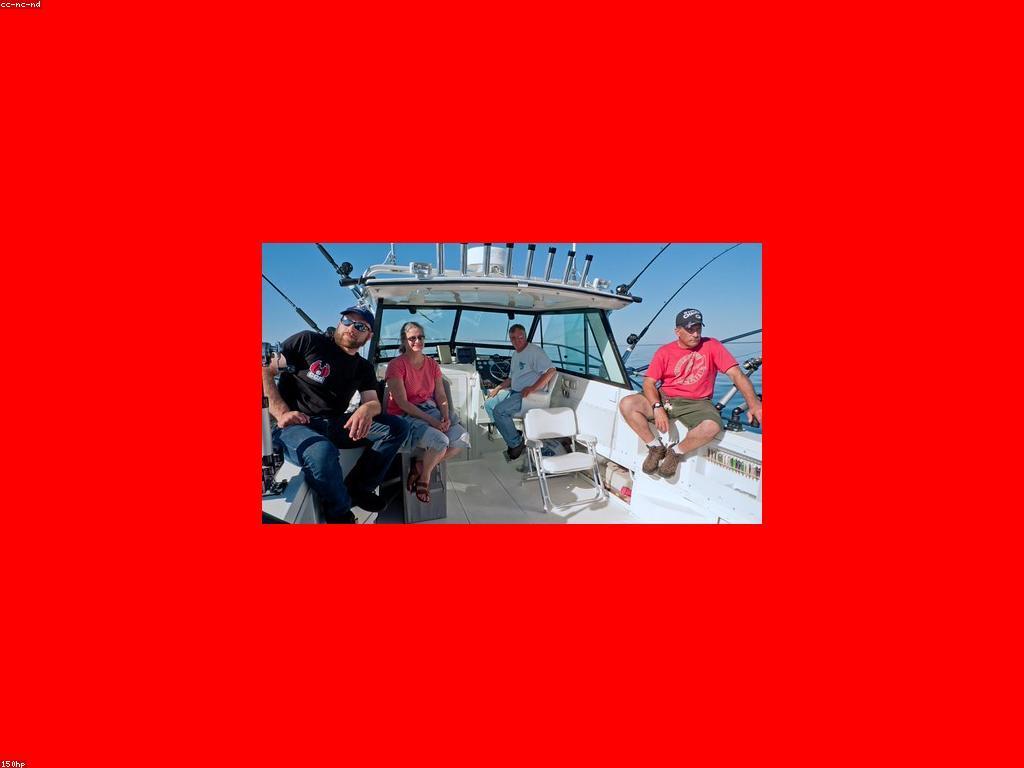 យុទ្ធសាស្ត្របាញ់ត្រីសម្រាប់អ្នកថ្មី